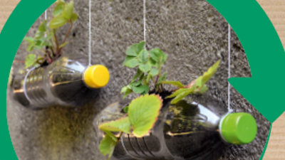 PETFlaschen hängen mit Blumen an der Wand
